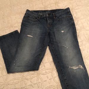 Ann Taylor Loft - Boyfriend